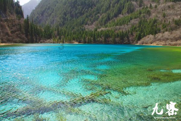 天水这个时候种什么好？游戏画面