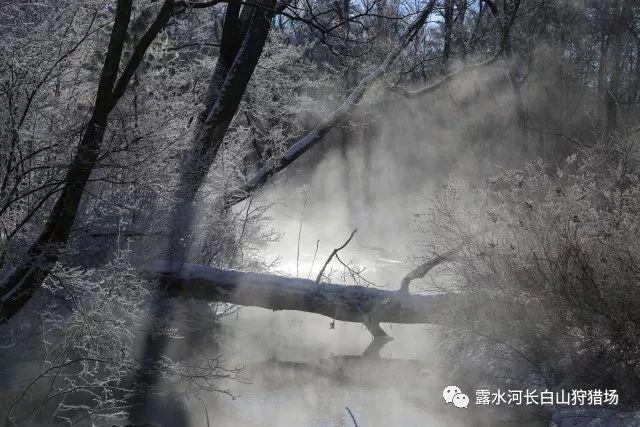 解惑蜗牛——亲兄妹之间应不应该避嫌?问答平台