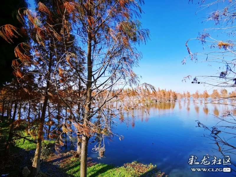 男朋友是老师送什么礼物好？游戏画面