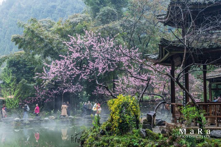 用眼泪祭奠成长，用青春歌颂英雄，如何评价蓝焰突击的完美收官？游戏画面