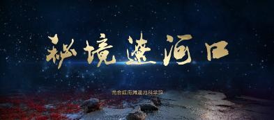 奥利维亚收养猫