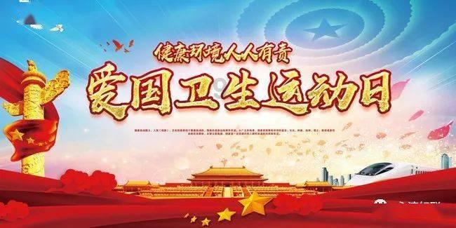 救援呆萌的猫
