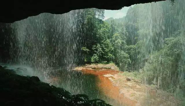 小宝贝仪仗队