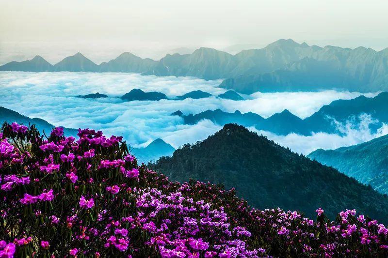 清洁粉红房子