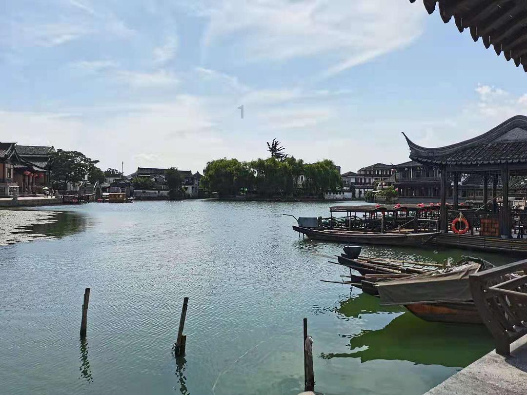 翻转吧，苹果虫